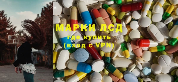 стафф Аркадак