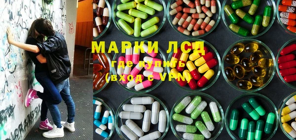 стафф Аркадак