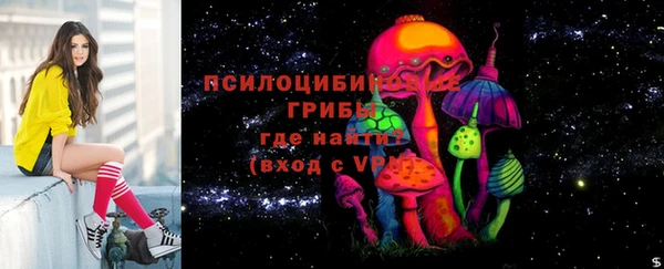 стафф Аркадак